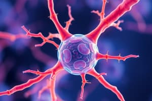 Eukaryotic Cell Biology: Cell Junctions