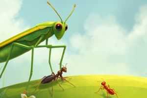 Grasshopper and Ant