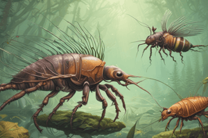 Biology: Phyla of Invertebrates