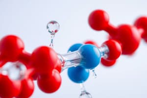 Water Properties and Organic Molecules