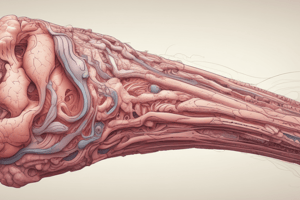 Skin Structure & Function Year 1