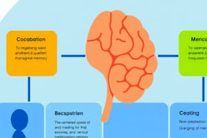 Memory Processes and Types Quiz