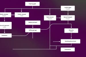 Flowcharts and Display Methods in Programming