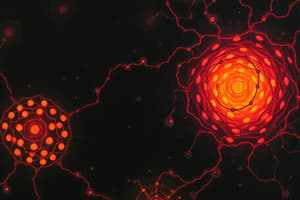 BCR and Signal Transduction