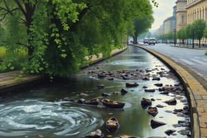 Stormwater Runoff and Management