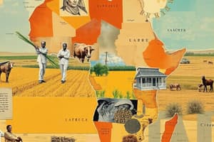 African Crop Regions Overview