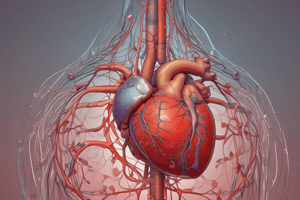 Anatomy of the Heart Wall