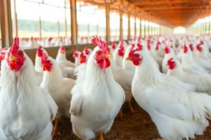 Poultry Farming Practices and Production