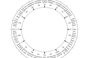 Circle Definitions Quiz