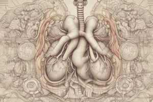 Lecture 14: Respiration