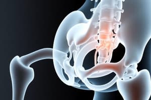 Kinematics of the Pelvis and Hip Joint