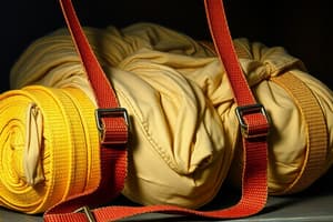 Cargo Securing Straps Overview