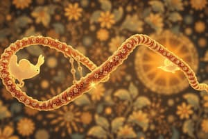 History of DNA and Major Scientific Discoveries