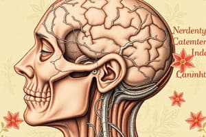 Neurologic Assessment: Cranial Nerve Examination