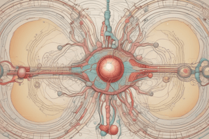 Endocrine System Regulation