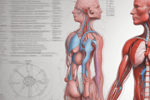 Cardiovascular System: Heart and Peripheral Blood Vessels