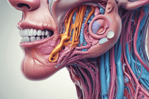 Oral Biology: Salivary Gland Structure & Function