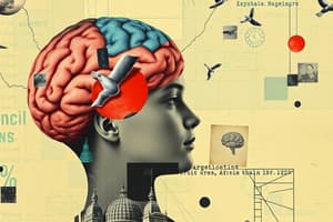 Adolescent Brain Development and Decision-Making