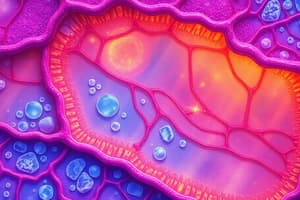 Epithelial and Connective Tissue Classification