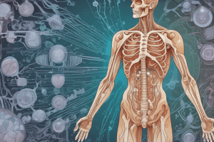 Endocrine System: Calcium and Phosphate Metabolism