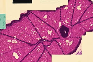 Tissue Types Quiz - Histology Basics