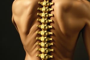 Vertebral Column Ligaments and Stability