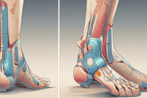 Regional Splints: Anterior Neck Region