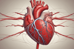 Cardiac Physiology