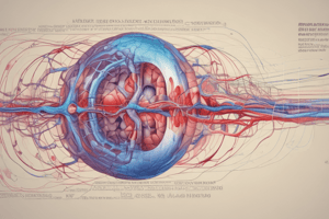 Perfusion Pathophysiology: Understanding Blood Flow in the Body