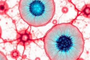 Hematology PB Smears and Plasma Cells