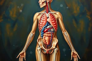 Human Body Systems Overview