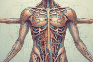 What is Lymphatic System?