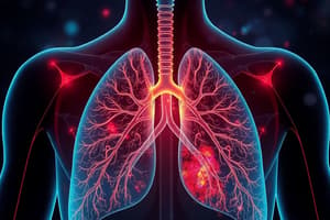 Overview of the Respiratory System