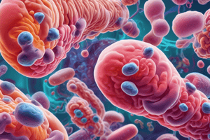 Gram Positive Bacilli Classification and Diseases Quiz