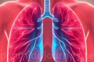 Biology Chapter 23: The Respiratory System