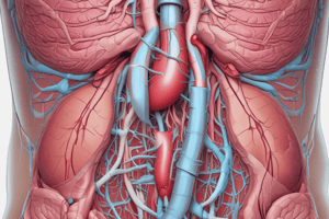 Ninja Nerd - Circulatory System | Pancreas Circulation Model