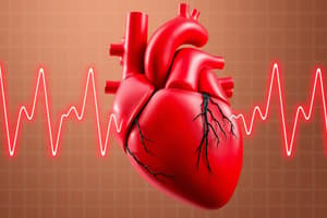 Heart Rate Regulation and Heart Sounds