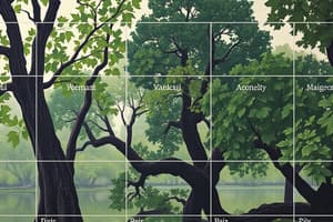 Business Model Canvas Overview