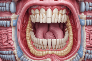 Overview of Digestive System and Teeth Anatomy Quiz