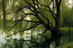 Dynamic Websites and RIAs