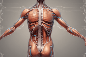 Human Body Systems Interactions