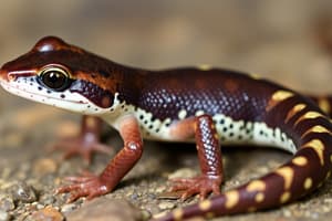 Amphibian Biology Quiz