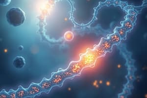 Gluconeogenesis Overview