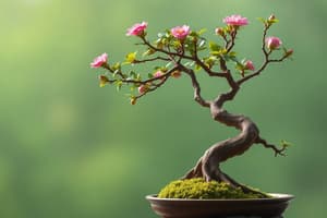 Bonsai by Edith Tiempo