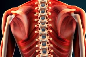 Spinal Deformities Overview