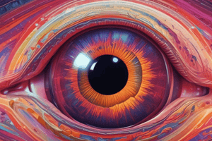 Retina