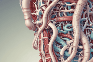 chapter 15. quiz 1. Anatomy of the Gastrointestinal Tract