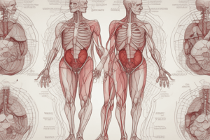 Heart Anatomy Quiz