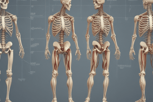 Musculoskeletal Assessment Quiz