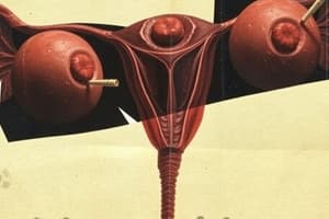 The Reproductive System: Gonads and Development